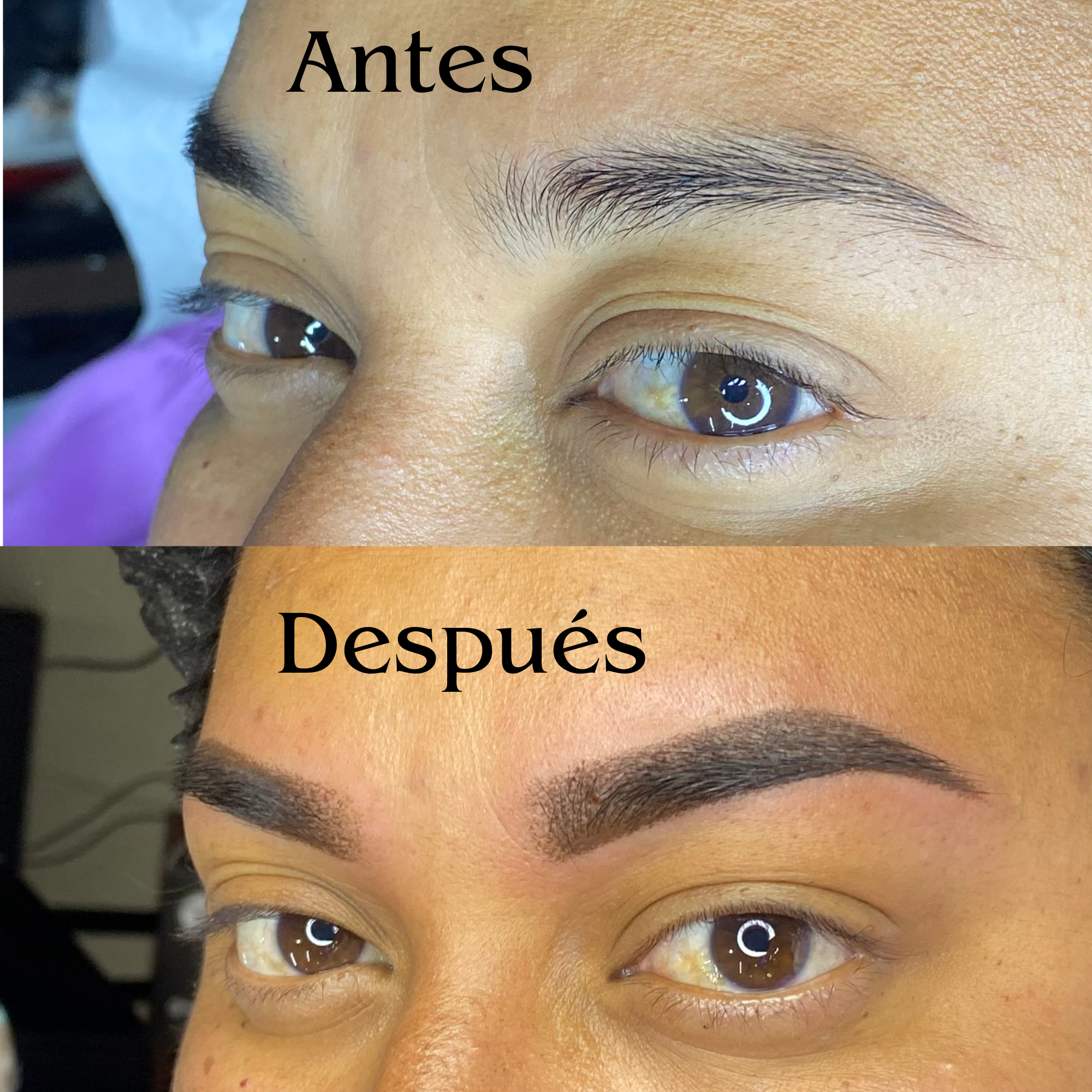 CEJAS EFECTO POLVO